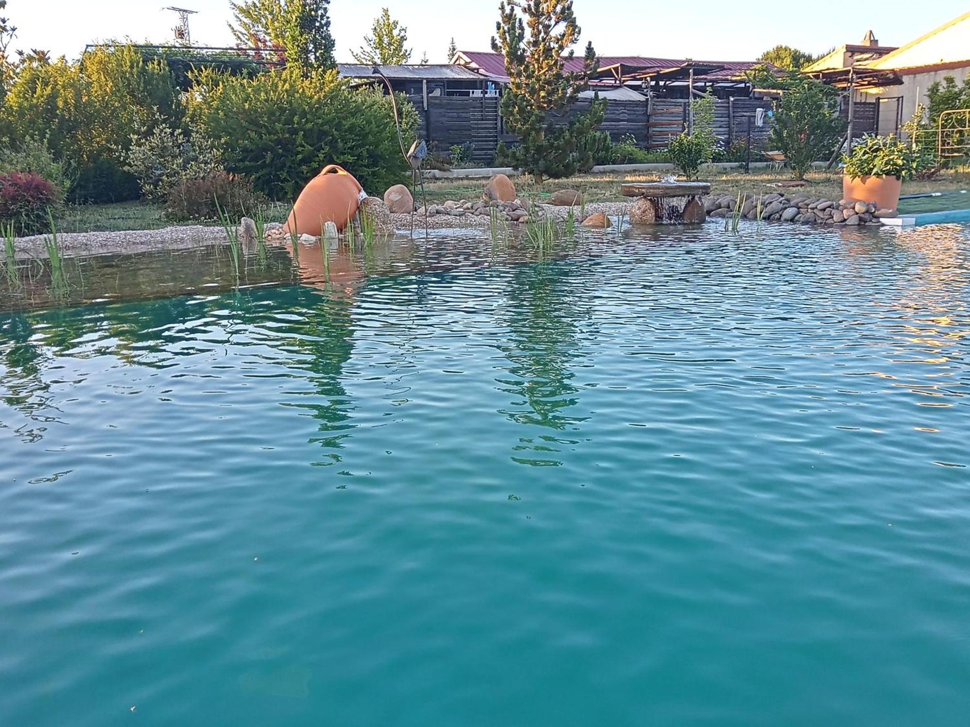 Hotel Rural Bioclimático Sabinares del Arlanza Puentedura Esterno foto
