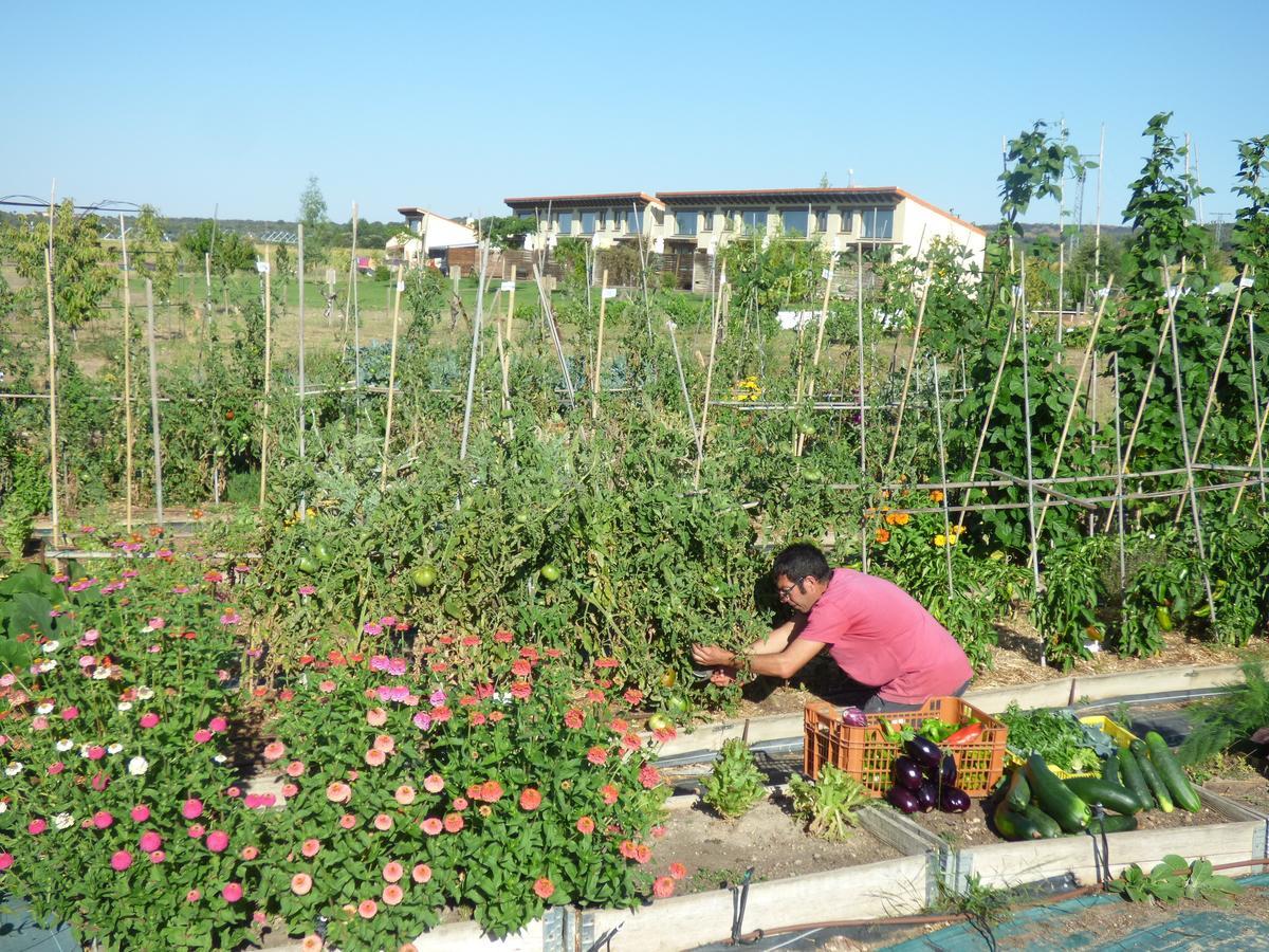 Hotel Rural Bioclimático Sabinares del Arlanza Puentedura Esterno foto