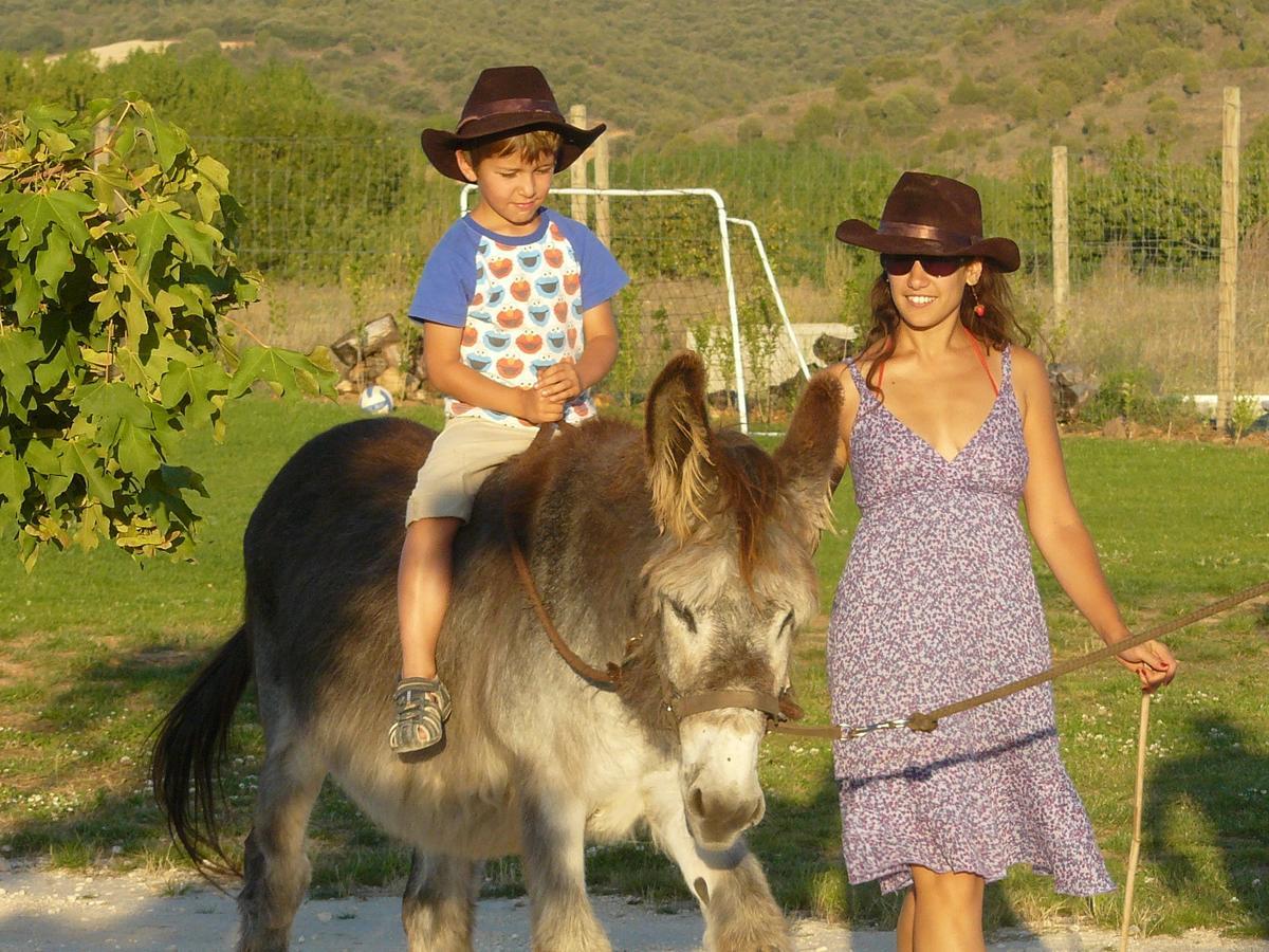 Hotel Rural Bioclimático Sabinares del Arlanza Puentedura Esterno foto
